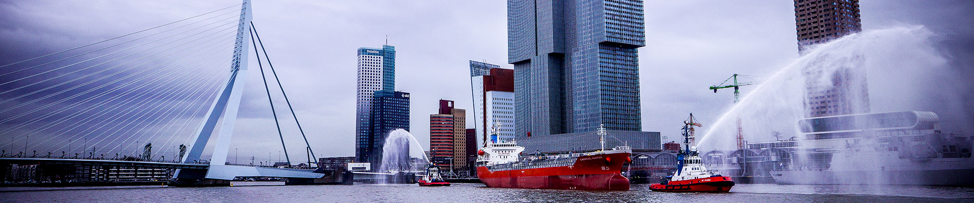 web-Chemical Hunter-erasmus