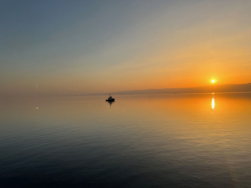 Fog Chirag Patelia 3 jul