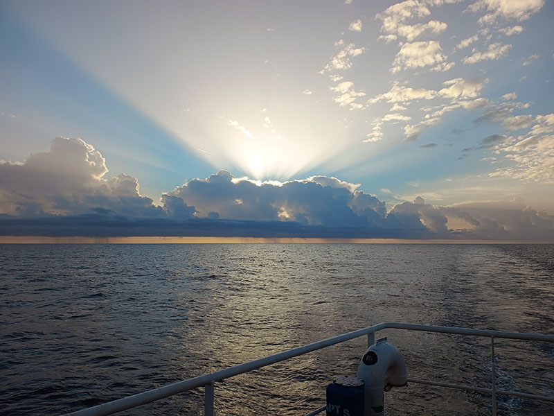 Light Viplove 2 juni