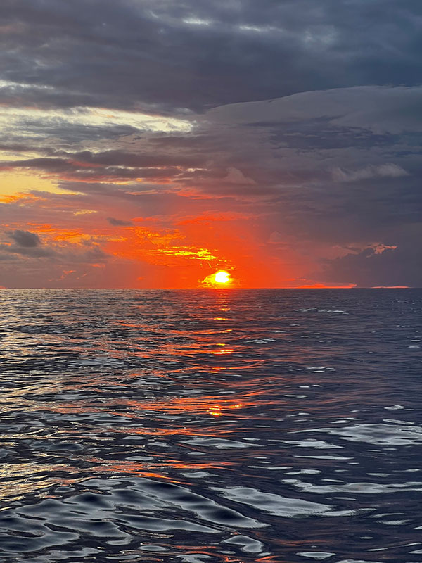 Sun 4 Chirag Patelia 3 jul