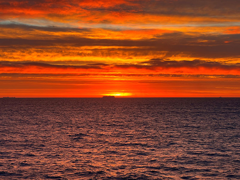 Sun Chirag Patelia 3 jul